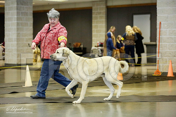 _RH_1510-BeltonJan2015IABCA-HR3