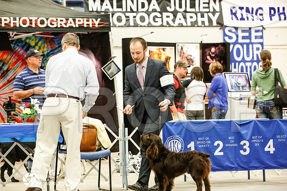 _JN_0453-AblnMay2014-web