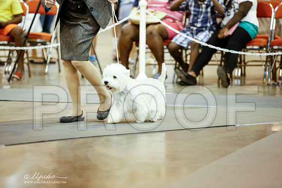 _JJ_6105-DalJul2014-HR3
