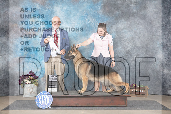 German Shepherd Dog #5 Sun G4 Judge Eric Liebes__JP_8111_Belton_2024_HR3