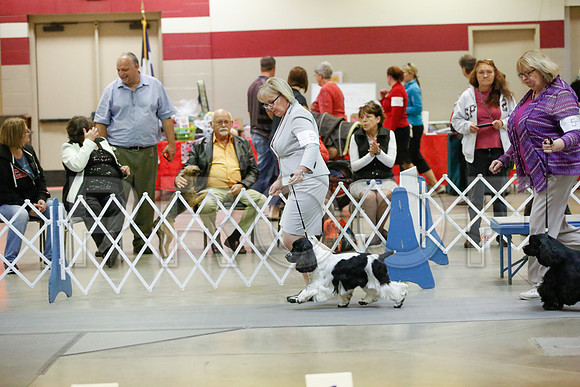 _JN_8308-AmarilloSept2014-HR3