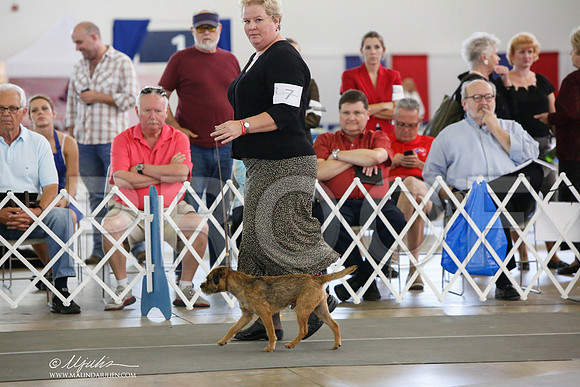 _JJ_2044-DallasJul2014-HR3