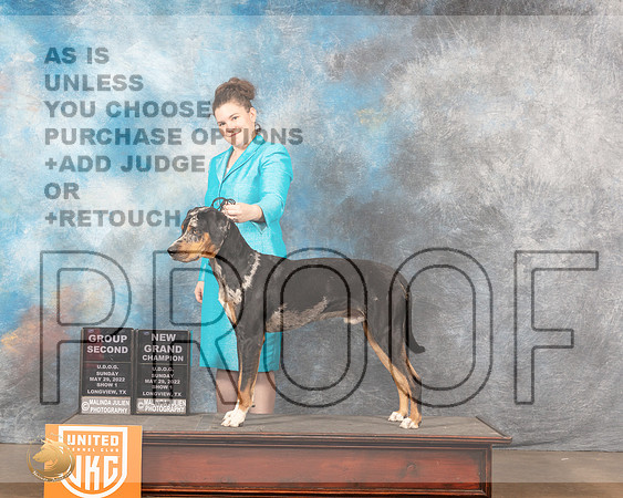 LCLD #203 Sun G1 Judge Matthew ProctorMMJ_5928_Lngvw2022HR3