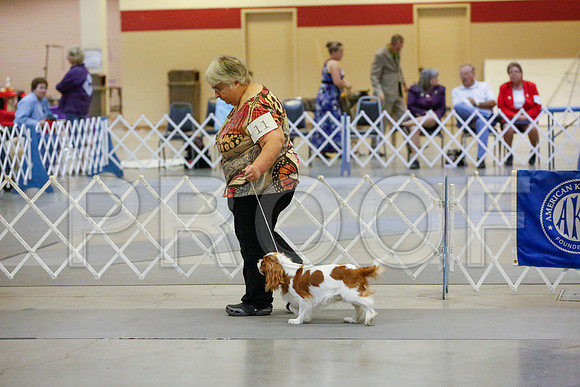 _JJ_1020-AmarilloSept2014-HR3