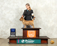 Cairn Terrier #347 Sun G1 Judge Diana Brumbaugh