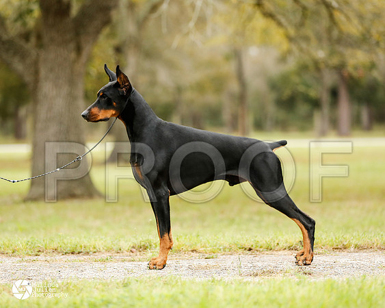 dobe-4663-HstnMar14-HR3