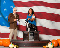 Boston Terriers #38 Sat BOW NC MAJ Bass Kimberley A Judge Mr Robert R Frost