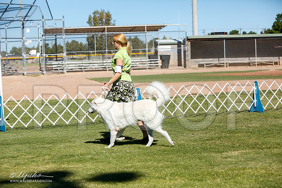 _JJ_4530-AlamogordoOct2014-HR3