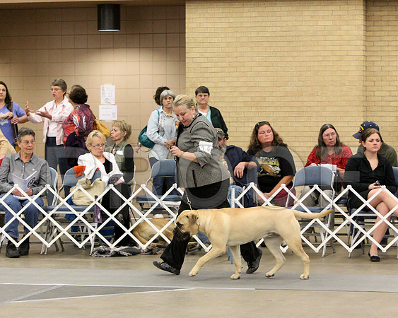 9-12Pup-8525