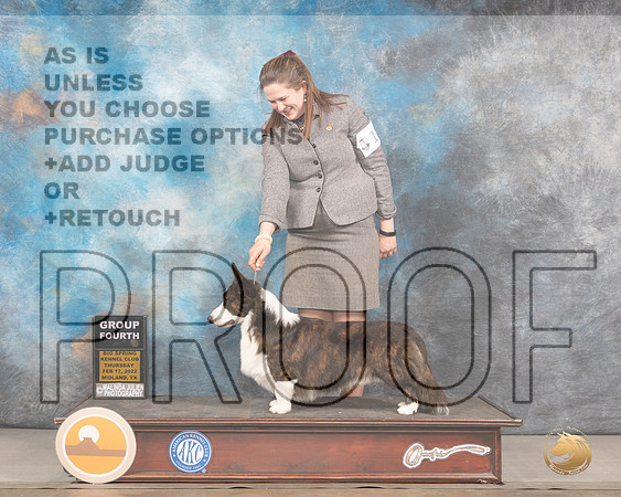 Cardigan Welsh Corgi #15 Thurs G4 Judge Barbara AldermanMMJ_2564_Mdlnd2022_HR3