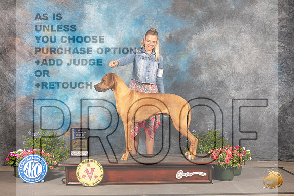 Rhodesian Ridgeback #17 Thur BOWNCh Judge Anne Bolus_MJ_0041_SA_2022_HR3