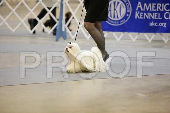 _JJ_2635-AmarilloSept2014-HR3