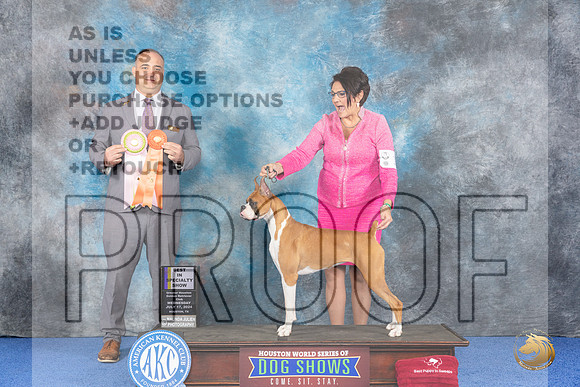 Boxer #10 WED BISw Judge Chris Leitkowski__JP_6521_Houston_2024_HR3