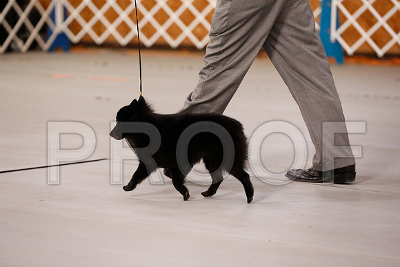 _RH_7854-CarlrolltonSept2014-HR3