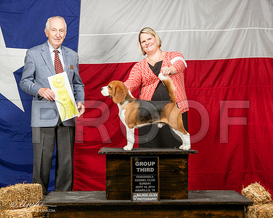 _ST_2062-AmarilloSep2014-HR3