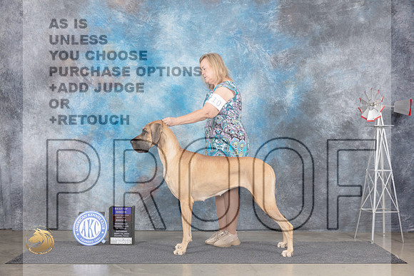 Great Dane #10 Sat BOBOHBOB Judge Ann Roth__JP_5669_Amarillo_2024_HR3