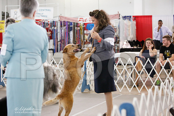 _JJ_3057-DallasJul2014-HR3