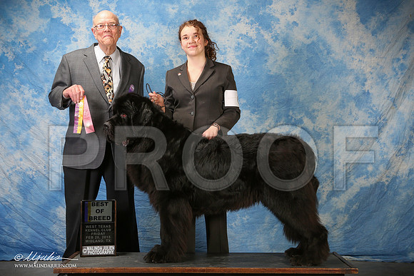 SS2_0683-2-BeltonJan2015IABCA-HR3