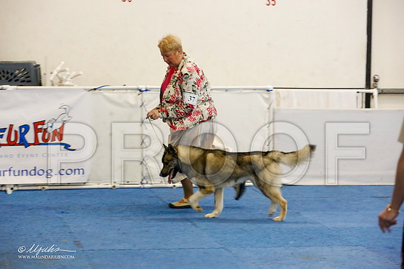 _M3_1621-AddisonHuskyMar2015-HR3