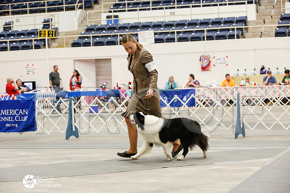 _JJ_8977-AblnMay2014-web