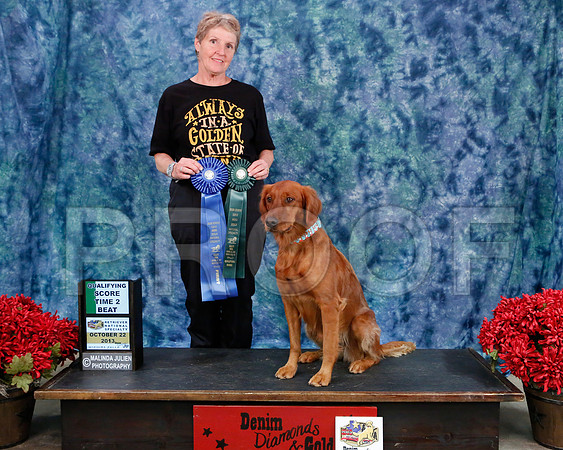 T2B-8539-WFOct2013-HR