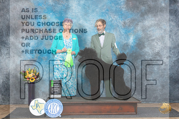 Poodle Std #23 Sun OHG2 Judge Sharol Candace Way__JP_0045_Abilene_2024_HR3