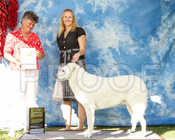 _ST_3102-AlamogordoOct2014-HR3