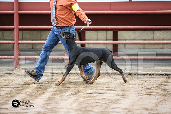 MJ2_0786-WacoFeb14-HR