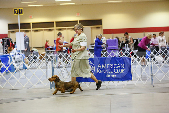 _JN_0018-AmarilloSept2014-HR3