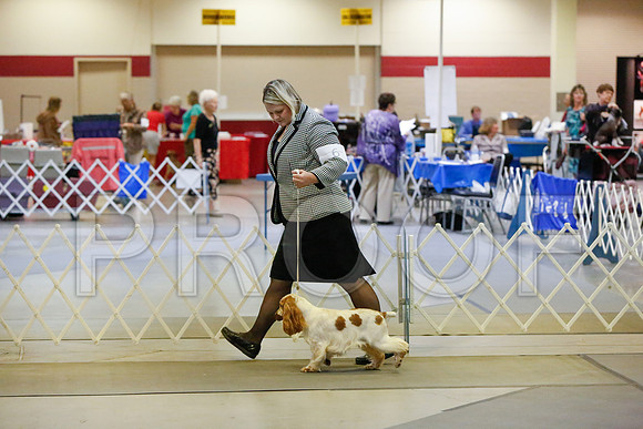 _JJ_2589-AmarilloSept2014-HR3