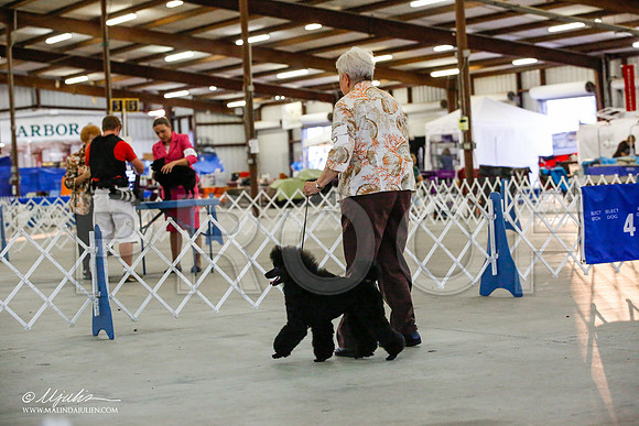 _JJ_4810-AlamogordoOct2014-HR3