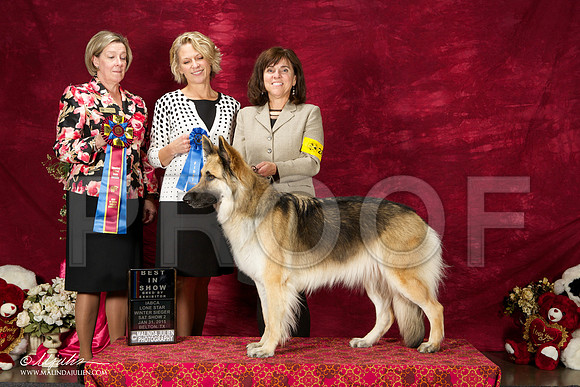 _ST_2696-BeltonJan2015IABCA-HR3