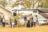 Lure Course AKC Prelim Open Run 2 Terri Grimm Lincoln 2B  Artis J Bauer Georgie 2P Marion Roby Flyer 2Y