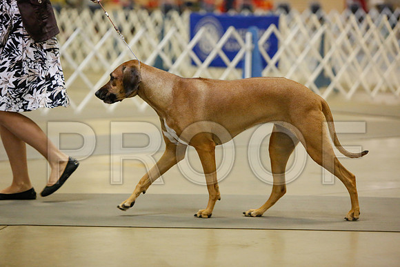_JN_3137-AmarilloSept2014-HR3