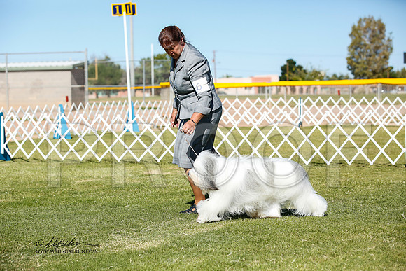 _JJ_2639-AlamogordoOct2014-HR3