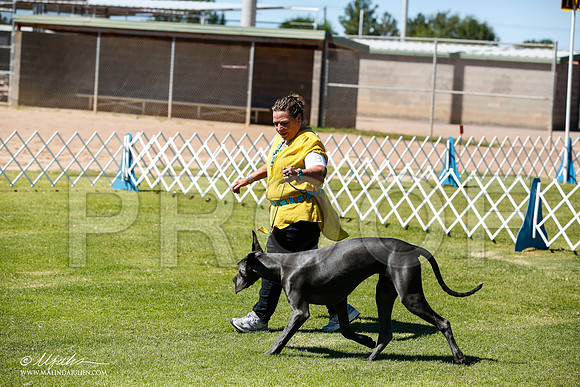 _JN_6374-AlamogordoOct2014-HR3