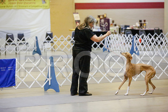 _JN_9058-AmarilloSept2014-HR3