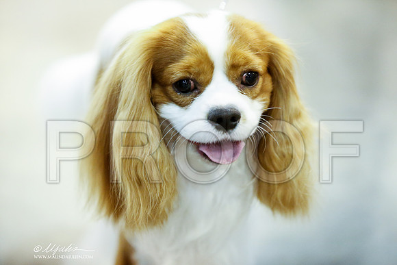 _JJ_7413-HstnJul2014-HR3