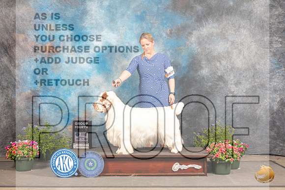Clumber Spaniel #5 Fri G4 Judge Bob Shreve_MJ_0006_SA_2022_HR3