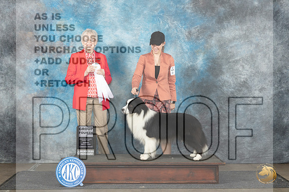 Border Collie #5 Sun G4 Judge Sharon Newcomb__JP_3990_Lubbock_2024_HR3