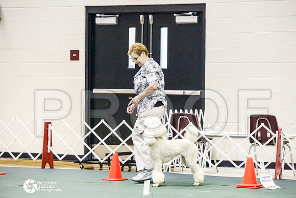 _JJ_3198-BsrCtyJun2014-HR3