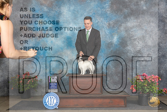 Papillion #20 SG1 Judge Claire Wisch Abraham__JP_4250_San Antonio_2024_HR3