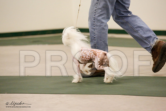 _JN_9040-NrmnNov2014-HR3