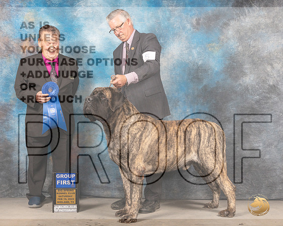 Mastiff #5 Sat G1 Judge Del RichardsMMJ_4531_Mdlnd2022_HR3