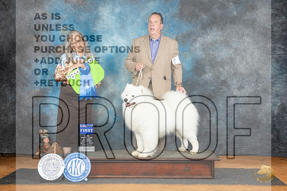 Samoyed #5 Sat G1 Judge Denise Dean__JP_8153_MARSHALL_2024_HR3