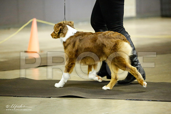 _JJ_6046-BeltonJan2015IABCA-HR3
