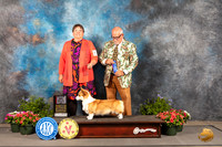 Pembroke Welsh Corgi #14 Thur BOWBOS Judge Michael Canalizo