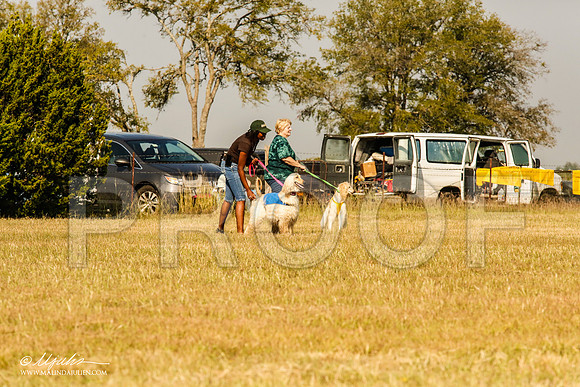 _MJ_4078-AfgBeltonOct2014-HR3