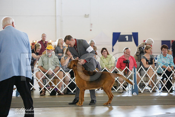 _JJ_3329-DallasJul2014-HR3