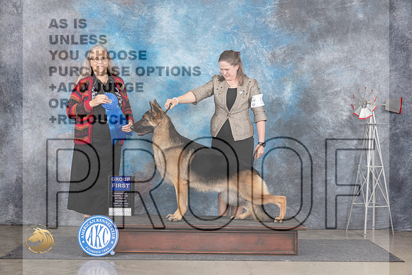 German Shepherd Dog #5 Thurs G1 Judge Denise Dean__JP_5032_Amarillo_2024_HR3